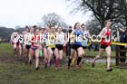 Womens under-20a  Northern Cross Country, Knowsley Safari Park. Photo: David T. Hewitson/Sports for All Pics
